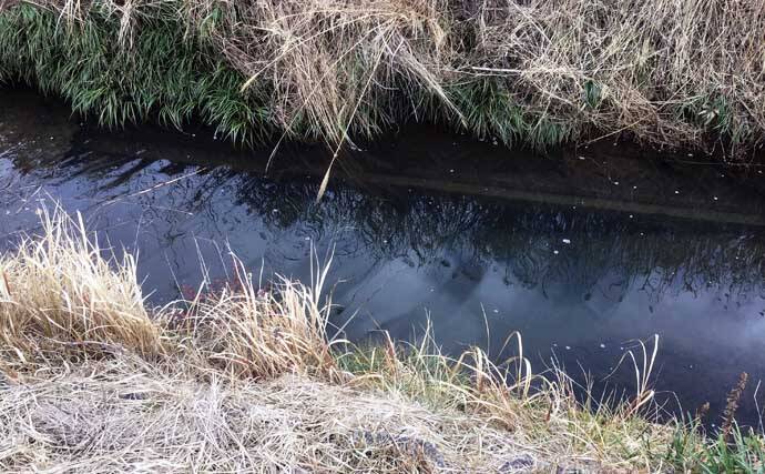 真冬の淡水小物釣りでカワムツとタモロコ手中　オフシーズンの攻略法3選