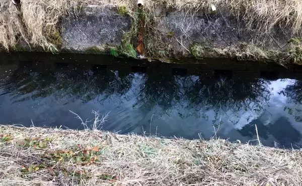 「真冬の淡水小物釣りでカワムツとタモロコ手中　オフシーズンの攻略法3選」の画像