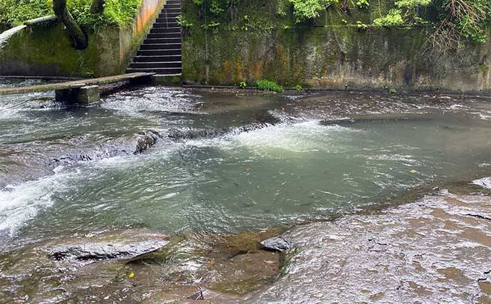 木郷滝自然釣りセンターでヤマメ63匹【熊本】悪天候が味方になった？