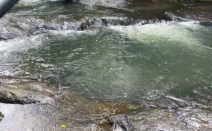 木郷滝自然釣りセンターでヤマメ63匹【熊本】悪天候が味方になった？