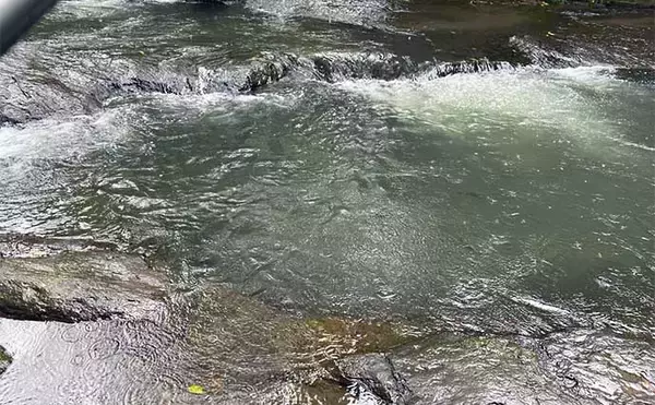 「木郷滝自然釣りセンターでヤマメ63匹【熊本】悪天候が味方になった？」の画像