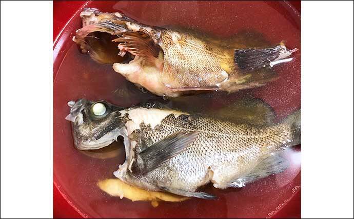 サカナの写真が【だいたい左向きなワケ】食事の作法や江戸時代の画法に由来か