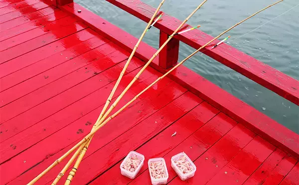 「太平洋の絶景を望める海の釣り堀【千葉・鴨川】「太海フラワー磯釣りセンター」でのんびり釣りを満喫しよう」の画像