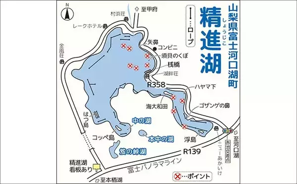 「「絶景と釣果を両取り！」精進湖ワカサギ釣りガイド【山梨】富士山を望む静寂の人気レイク」の画像