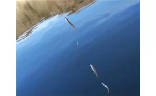 「「絶景と釣果を両取り！」精進湖ワカサギ釣りガイド【山梨】富士山を望む静寂の人気レイク」の画像