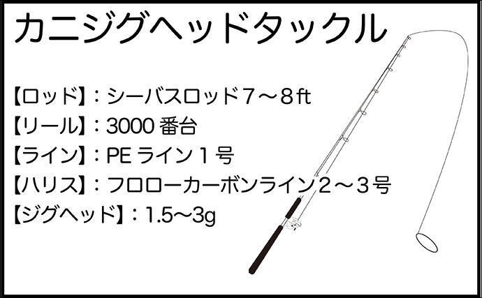 「キャッチ率70％越え？」クロダイを確実に釣りたいなら【カニジグヘッド釣法】がオススメ！