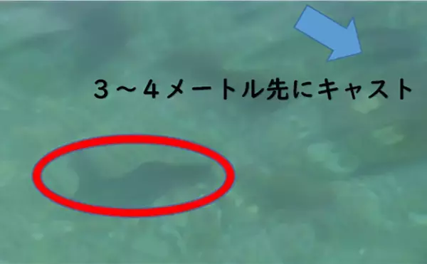 「「キャッチ率70％越え？」クロダイを確実に釣りたいなら【カニジグヘッド釣法】がオススメ！」の画像