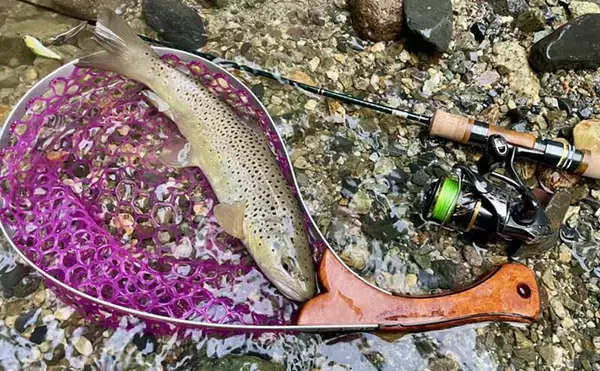 「魚たちはいつどこで眠るの？　水族館で眠る魚を観察するのに適したタイミングを紹介」の画像