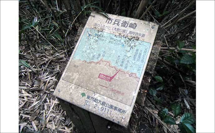 船中泊付きの離島釣り大会に参加【伊豆大島】まさかの優勝＆特別賞を同時受賞！