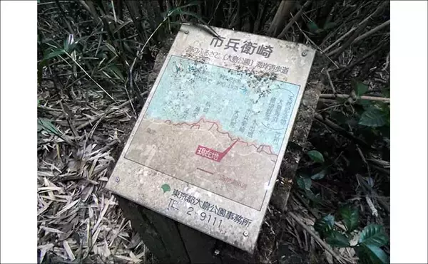 「船中泊付きの離島釣り大会に参加【伊豆大島】まさかの優勝＆特別賞を同時受賞！」の画像