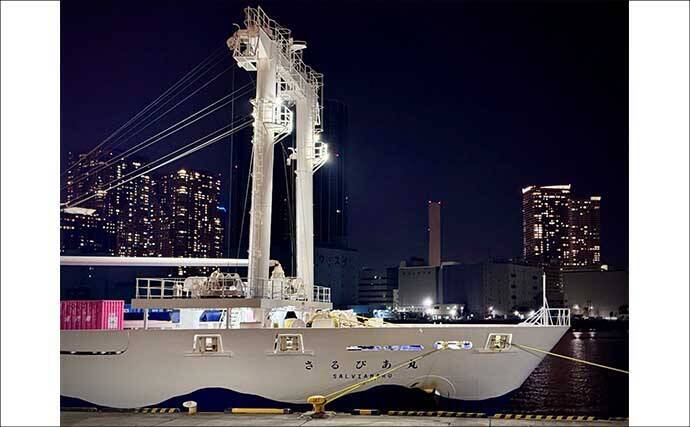 船中泊付きの離島釣り大会に参加【伊豆大島】まさかの優勝＆特別賞を同時受賞！