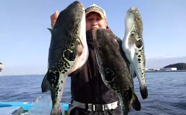 大人気『トラフグ』を船中全員キャッチ！ 関東エリアの【船釣り特選釣果】