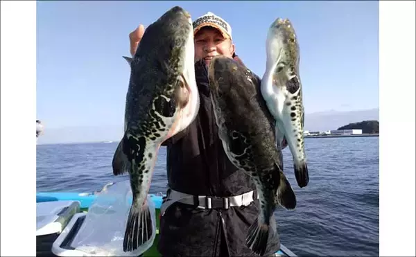 「大人気『トラフグ』を船中全員キャッチ！ 関東エリアの【船釣り特選釣果】」の画像