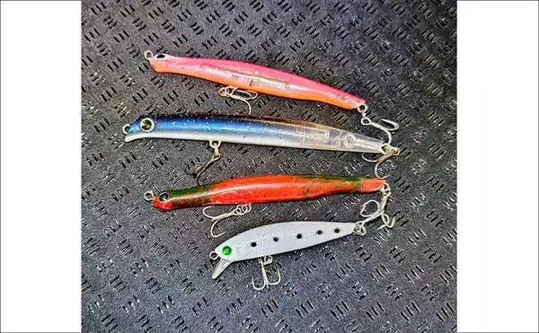 「「中途半端なマッチザベイトはダメ？」 高難度の春のシーバスゲームで貴重な1匹を手中」の画像