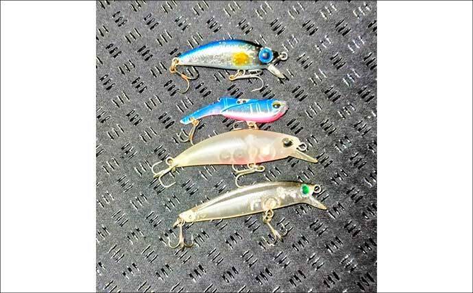 「中途半端なマッチザベイトはダメ？」 高難度の春のシーバスゲームで貴重な1匹を手中