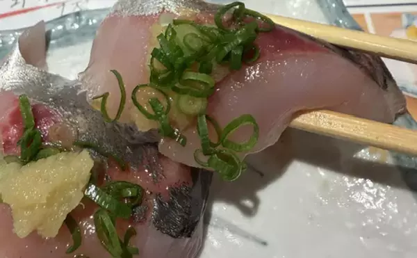 大阪湾沿岸ライトゲームで「最もレアなターゲット」は何？　釣れる魚種は豊富！