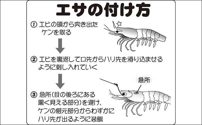 大好評です 和竿 1本物 たなご 鮒 ザリガニ専用 Lacistitis Es