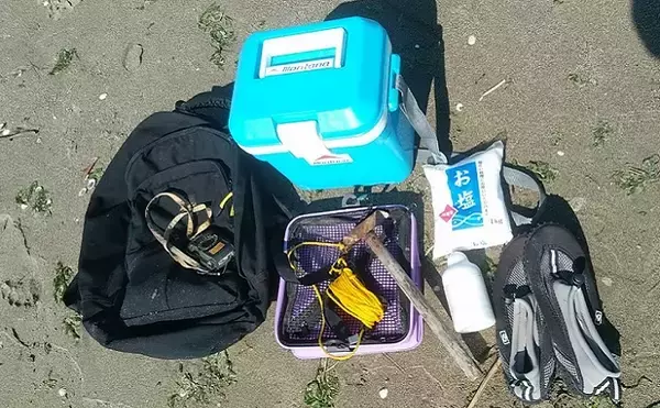 「『海の公園』でマテガイ採りが好調継続中【横浜】1時間で91個をゲット」の画像