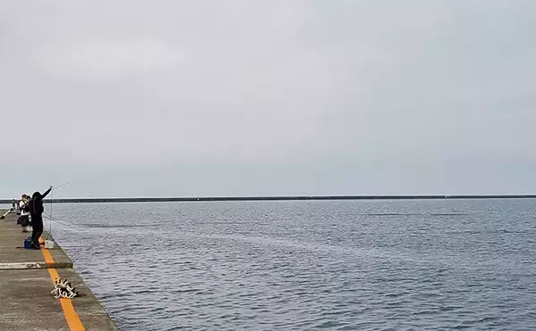 「「イワシ回遊増えて大型魚が爆釣？」 新潟在住アングラーが感じるイワシ回遊の変化と釣りとの関係」の画像