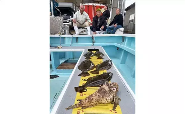 「【沖釣り釣果速報】伊良湖沖でビッグヒガンフグ＆カワハギ好調！良型揃って冬の旬満喫（愛知）」の画像