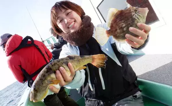 「【沖釣り釣果速報】伊良湖沖でビッグヒガンフグ＆カワハギ好調！良型揃って冬の旬満喫（愛知）」の画像