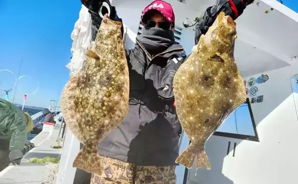 「【沖釣り釣果速報】伊良湖沖でビッグヒガンフグ＆カワハギ好調！良型揃って冬の旬満喫（愛知）」の画像