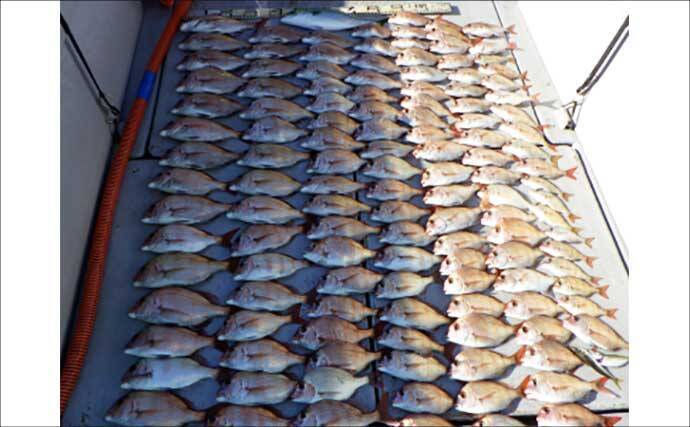 【沖釣り釣果速報】伊良湖沖でビッグヒガンフグ＆カワハギ好調！良型揃って冬の旬満喫（愛知）