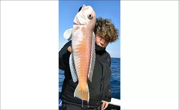 「御前崎沖の底物五目釣りで全員安打！【静岡】アマダイ狙いシフトが奏功し好ヒット連発」の画像