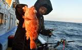 「御前崎沖の底物五目釣りで全員安打！【静岡】アマダイ狙いシフトが奏功し好ヒット連発」の画像6