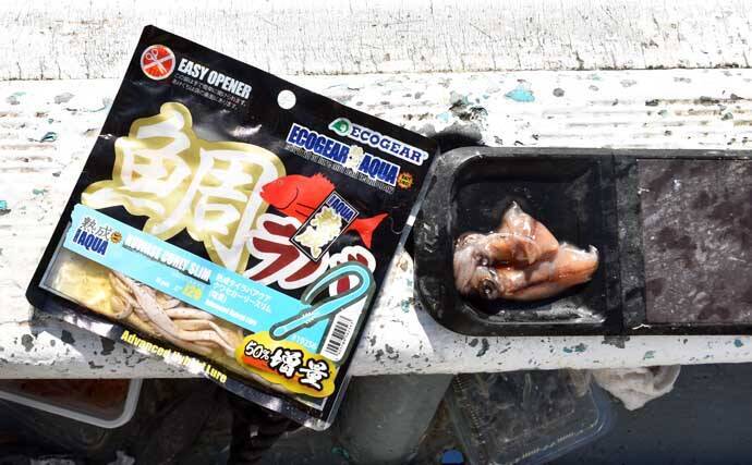 御前崎沖の底物五目釣りで全員安打！【静岡】アマダイ狙いシフトが奏功し好ヒット連発