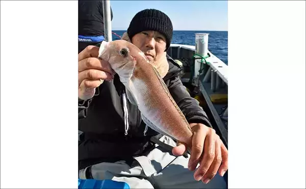 「御前崎沖の底物五目釣りで全員安打！【静岡】アマダイ狙いシフトが奏功し好ヒット連発」の画像