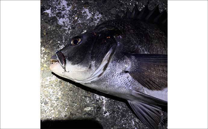 「都市近郊で手軽に入門可能！」 チニングの魅力をまとめて紹介