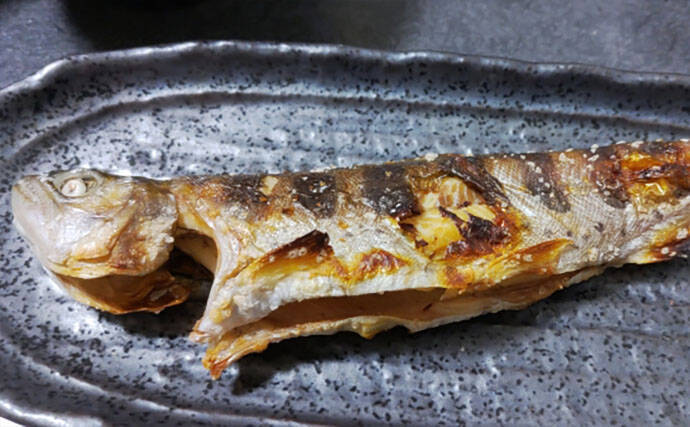 渓流魚をむやみに大量キープしない方が良い理由　学ぶべきルールとモラルとは？