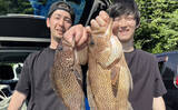 「磯フカセ釣りで良型クロの入れ食いを堪能！ 特級磯では49cmも登場【大分県・鶴見の磯】」の画像11