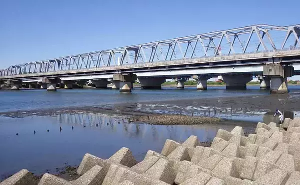 「東京湾奥で潮干狩りを堪能　2022年はホンビノス貝の当たり年？」の画像