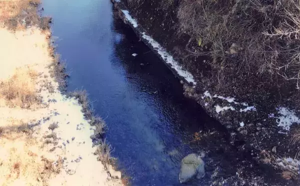 「渓流釣り河川ポイント紹介2024：秋山川（山梨）5月からは支流も狙い目か」の画像