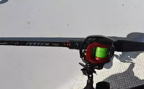 「レンタルボートでのロックフィッシュゲームで47cmオオモンハタにアカハタは連発【三重・紀北】」の画像