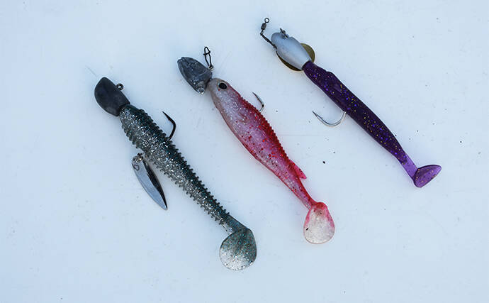 レンタルボートでのロックフィッシュゲームで47cmオオモンハタにアカハタは連発【三重・紀北】