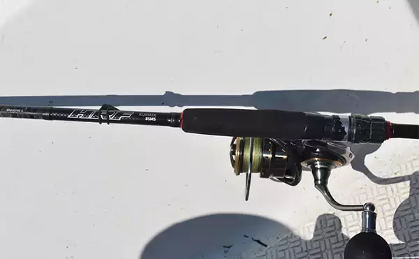 「レンタルボートでのロックフィッシュゲームで47cmオオモンハタにアカハタは連発【三重・紀北】」の画像