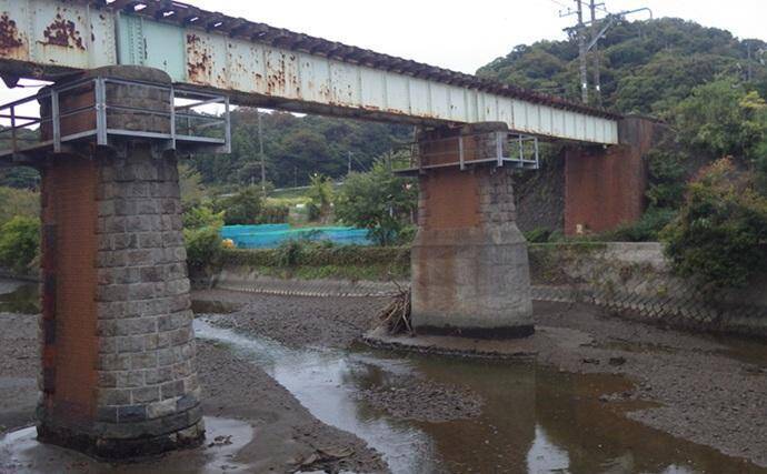 「猫のちょっかいに苦戦？」白狐川のハゼ釣りでマハゼ25匹手中【千葉】