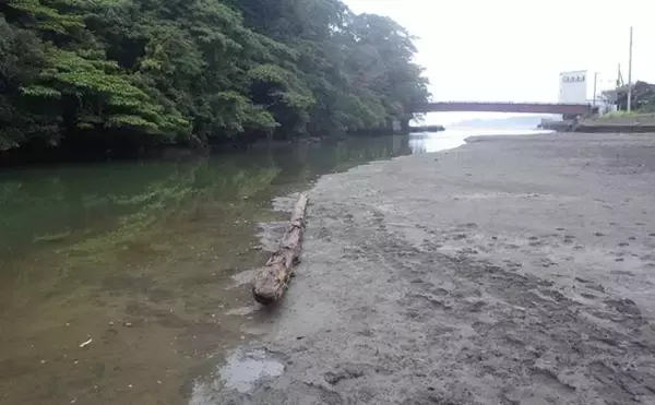 「「猫のちょっかいに苦戦？」白狐川のハゼ釣りでマハゼ25匹手中【千葉】」の画像