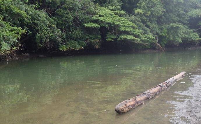 「猫のちょっかいに苦戦？」白狐川のハゼ釣りでマハゼ25匹手中【千葉】