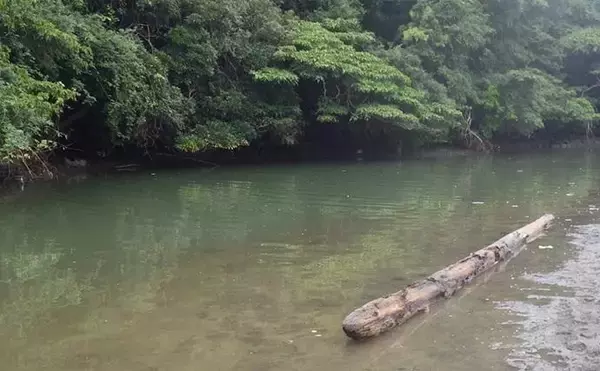 「「猫のちょっかいに苦戦？」白狐川のハゼ釣りでマハゼ25匹手中【千葉】」の画像