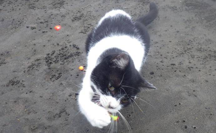 「猫のちょっかいに苦戦？」白狐川のハゼ釣りでマハゼ25匹手中【千葉】