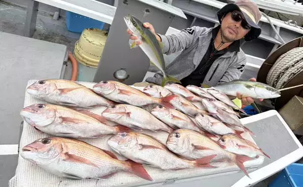 「【沖釣り釣果速報】御前崎沖の落とし込み釣りで6kg超マハタが堂々浮上！（愛知・静岡）」の画像