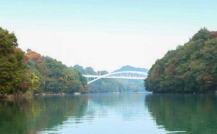 秋本番のボートワカサギ釣りで242尾キャッチ【神奈川・相模湖】群れを読んで手返し良くヒット