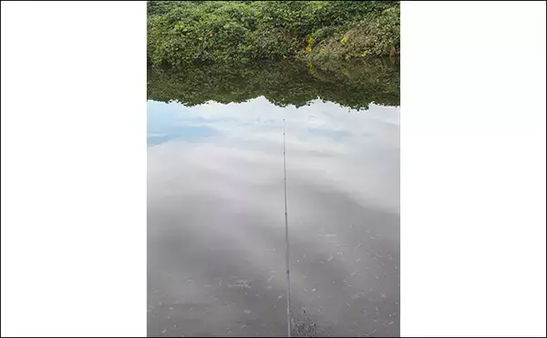 「再オープン直後の『日本ラインマス釣り場』で終了間際に覚醒モード到来！【岐阜】」の画像