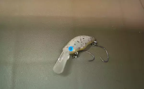 「再オープン直後の『日本ラインマス釣り場』で終了間際に覚醒モード到来！【岐阜】」の画像