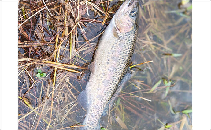 再オープン直後の『日本ラインマス釣り場』で終了間際に覚醒モード到来！【岐阜】