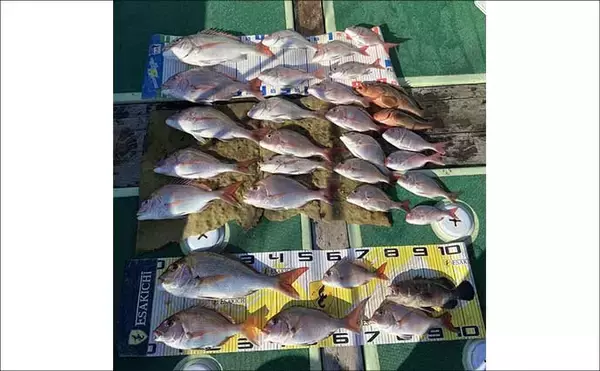 「【沖のルアー釣果速報】志摩沖のトンジギで21.7kgタネトン浮上！（三重）」の画像